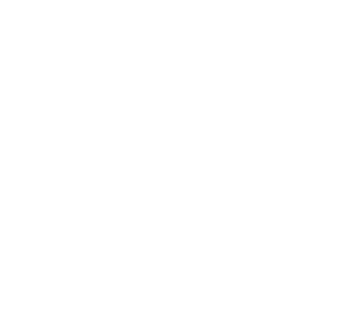 Elektrobefund